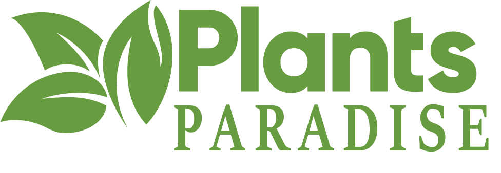 🌿 Plants Paradise UK | Fresh Tulsi, Curry Leaf & More Delivered
