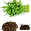 🌿 Genuine Water Spinach Kolmi Shak Thai Morning Glory Kangkong – 200 Seeds | UK