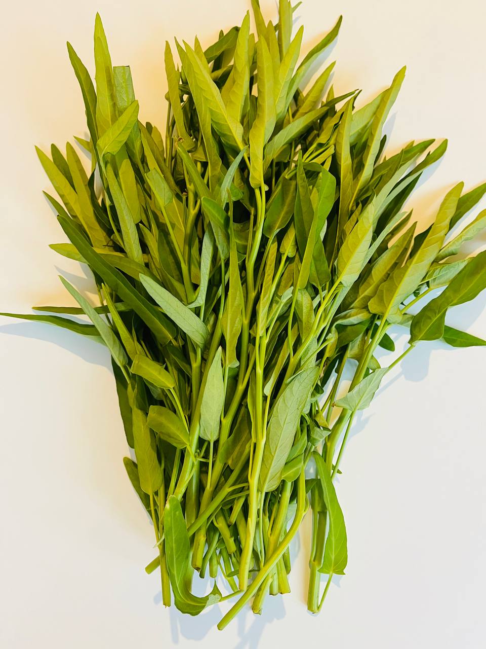 1 Kolmi Shak Bunch (কলমি শাক মোঠা / 空心菜 / ผักบุ้ง / Rau Muống / Kangkung / Kangkong) – Fresh Water Spinach Bunch in UK (Copy)