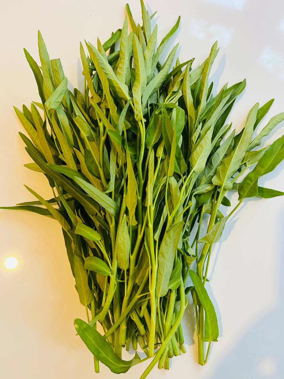 1 Kolmi Shak Bunch (কলমি শাক মোঠা / 空心菜 / ผักบุ้ง / Rau Muống / Kangkung / Kangkong) – Fresh Water Spinach Bunch in UK (Copy) - Image 3
